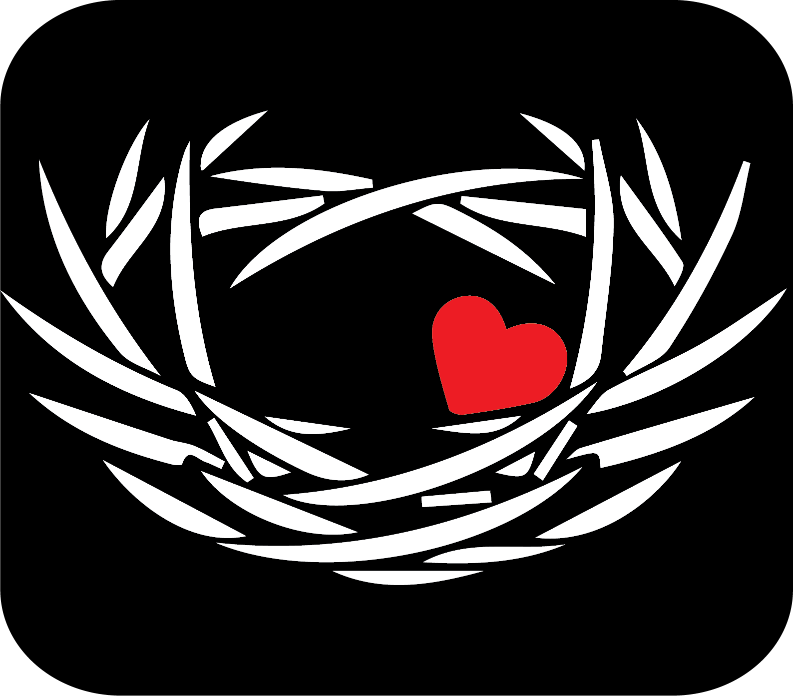 nest human trafficking curriculum 